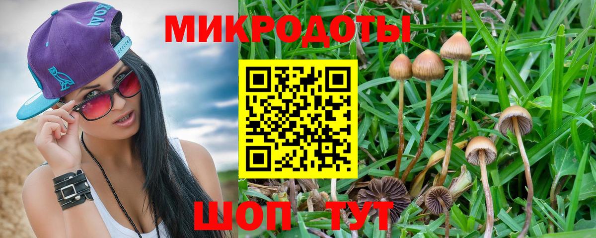 Псилоцибиновые грибы ЛСД Петровск