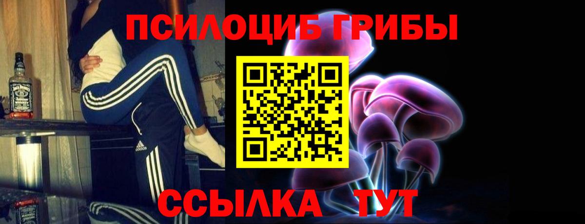 Петровск  Галлюциногенные грибы ЛСД  Вход с VPN  Галлюциногенные грибы Psilocybe 